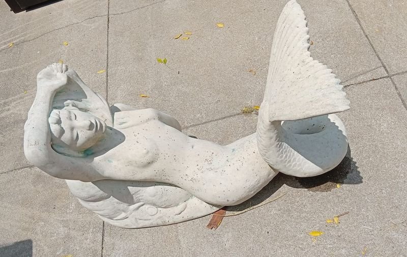 Item 849899 - Image 3