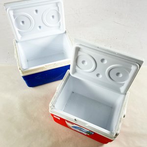 Dos Conservadoras Portátiles de 4 Litros - imagen 2