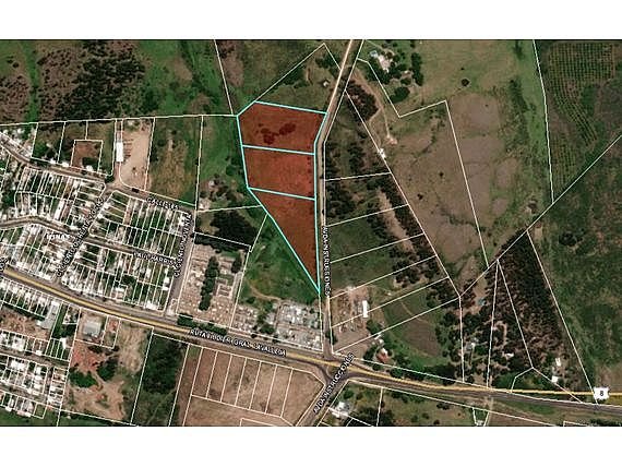 Item 31779 - Image 0