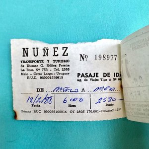 180 Pasajes de Aerolíneas Argentinas y Excursiones Marítimas - imagen 7