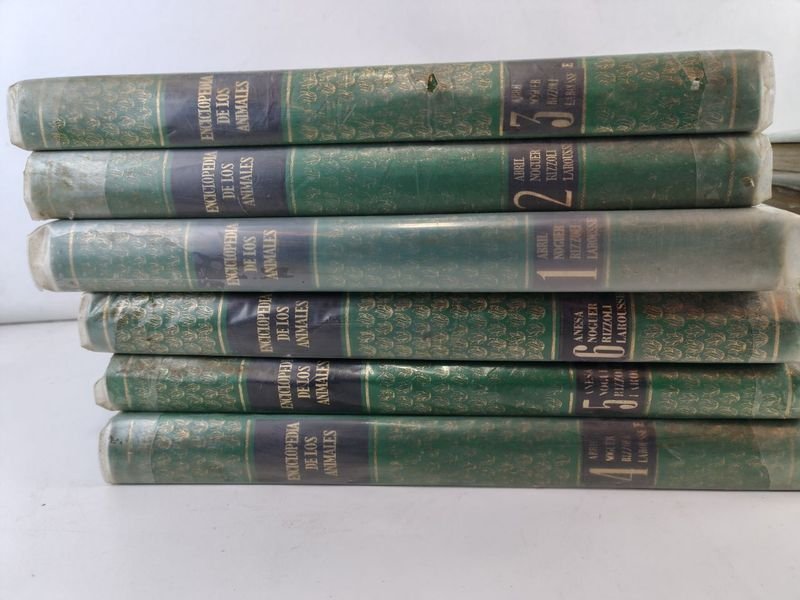 Item 842865 - Image 4