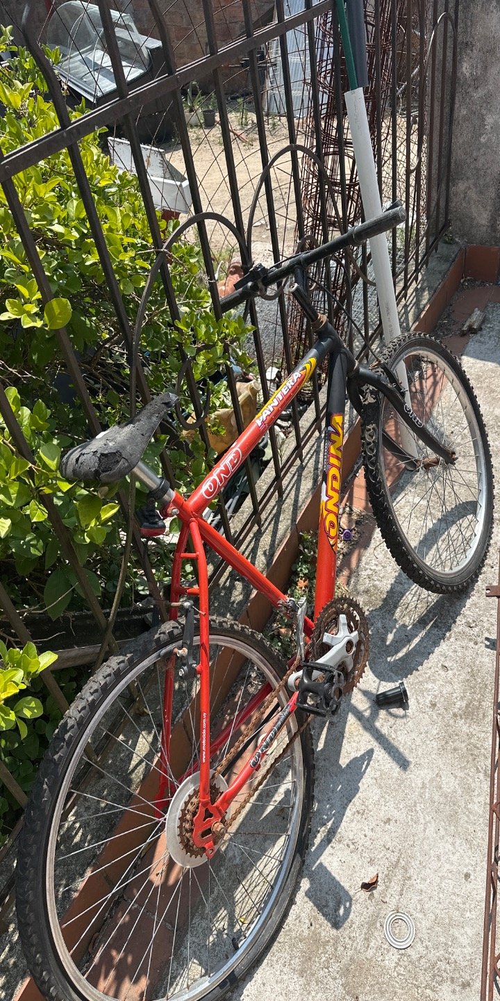 Item 62745 - Image 0