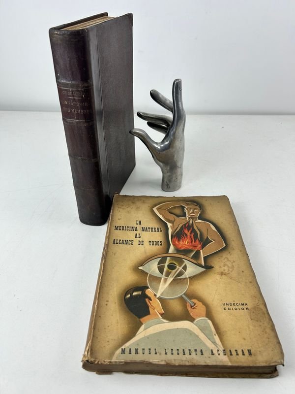 Lote anterior: Libros de anatomía y escultura de mano metálica