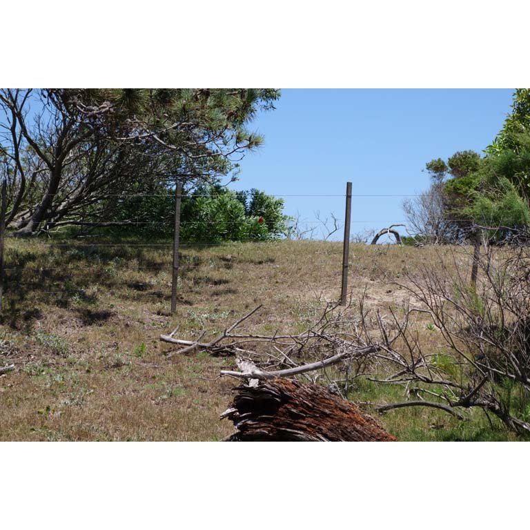 Item 2093554 - Image 3