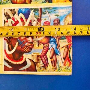 Álbum de Figuritas "Vida y Color" - Ciencias Naturales y Antropología - imagen 8
