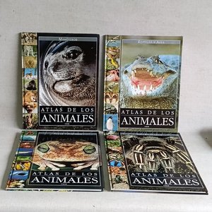 Lote siguiente: Atlas de los Animales: Mamíferos, Reptiles, Aves, Peces y Anfibios, Invertebrados (4 Tomos)