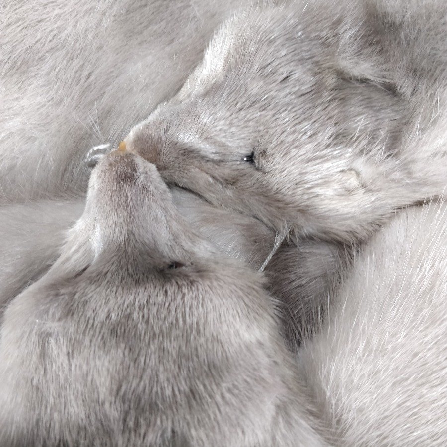 Item 15866 - Image 5