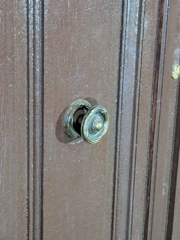 Puerta antigua de cedro con diseño de dos hojas y marco - imagen 4