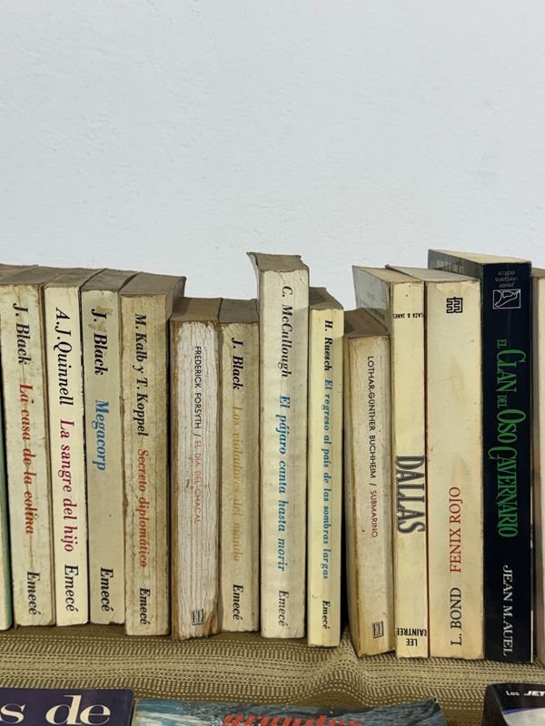 Lote de novelas variadas en excelente condición - imagen 7