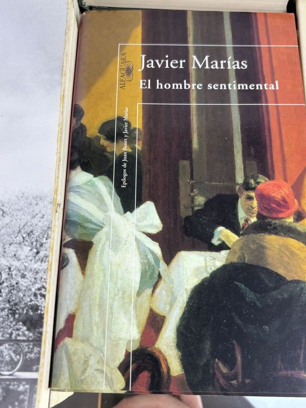 Colección de libros de Javier Marías - Novelas y ensayos - imagen 10