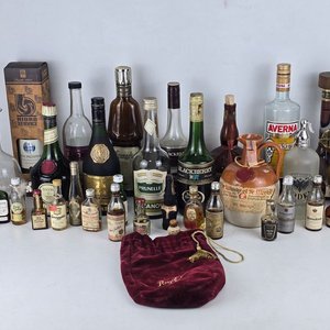 Lote de Botellas de Bebidas Alcohólicas Variadas: Empezadas y Vacías - imagen 2