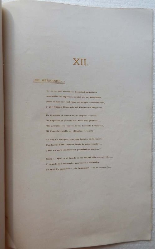 Domus Aurea, una obra de arte rara y autografiada - imagen 5