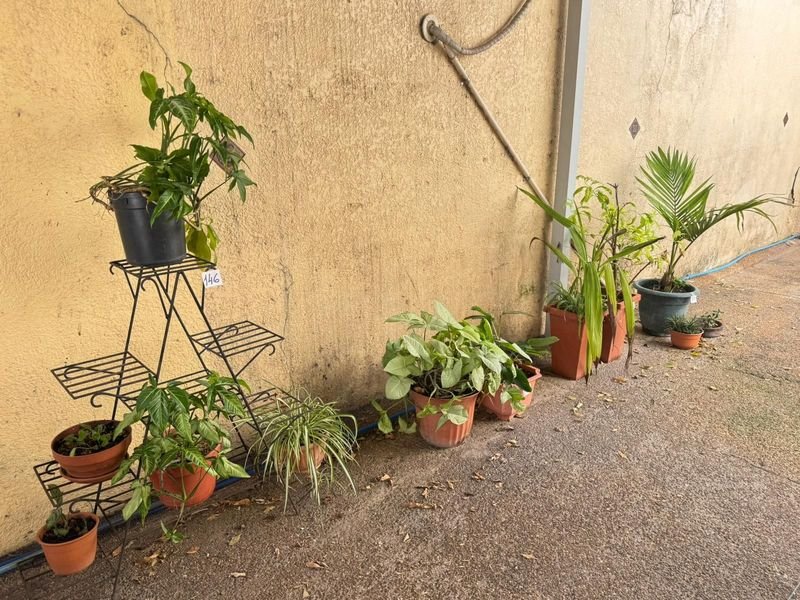 Item 892256 - Image 6