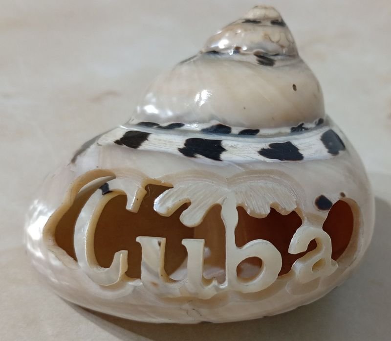 Item 844675 - Image 0