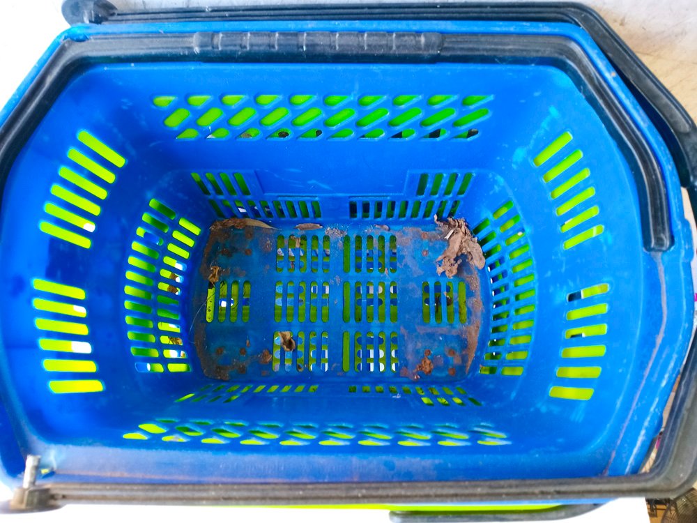 Item 489619 - Image 3