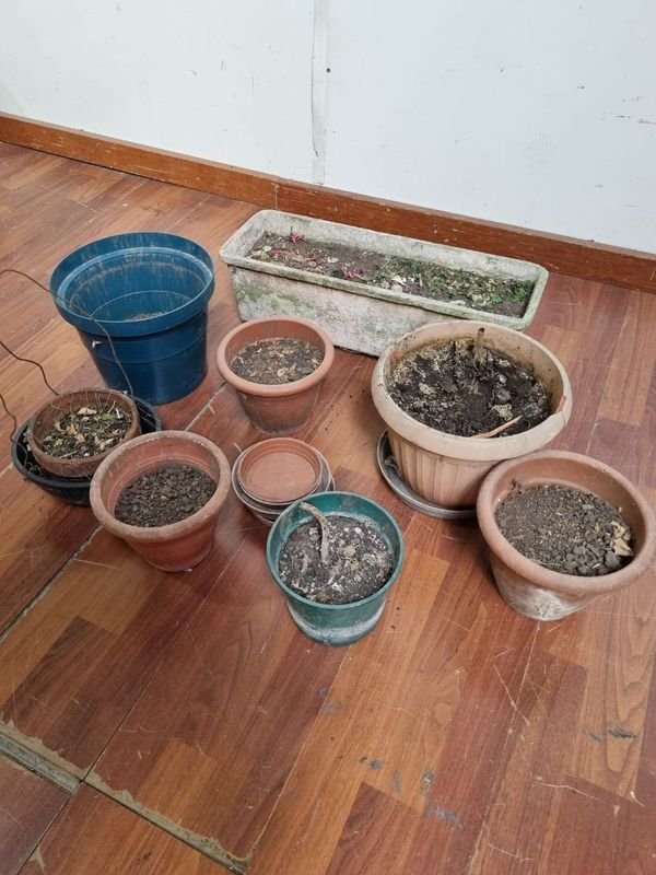 Macetas plásticas y cerámicas para jardinería - imagen 2