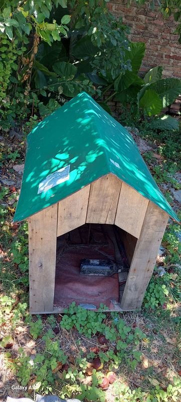 Casa de perro en madera con techo verde - imagen 4