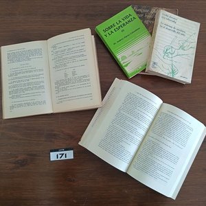 Lote de Libros: "Grandes Pinturas de la Historia", "Terapia del Comportamiento" y "Poemas Para Nosotros" - imagen 5