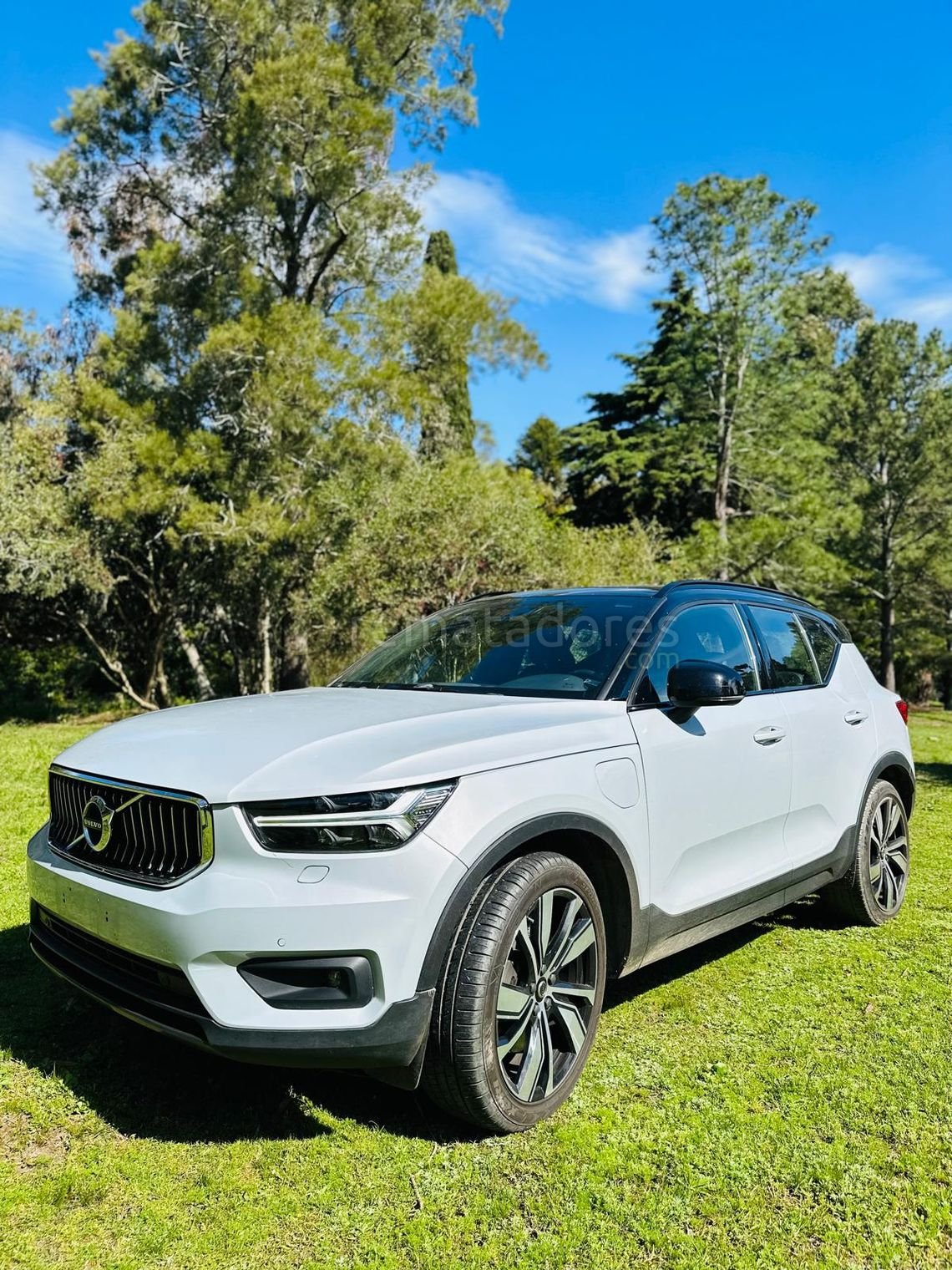 Volvo XC40 Recharge Eléctrico SUV Blanco 2023