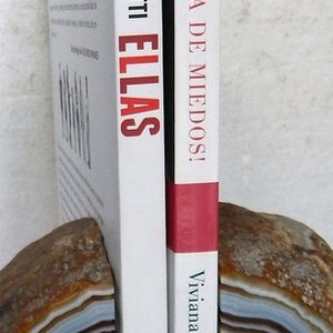 Dos Libros: "Ellas" de Daniel López Rosetti y "Basta de Miedos" de Viviana Canosa - imagen 3