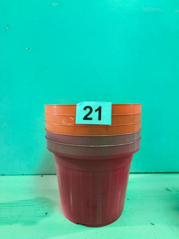 Item 884464 - Image 2