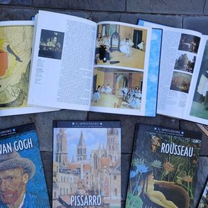 Colección "El Impresionismo y la Pintura Moderna" Planeta DeAgostini - imagen 2