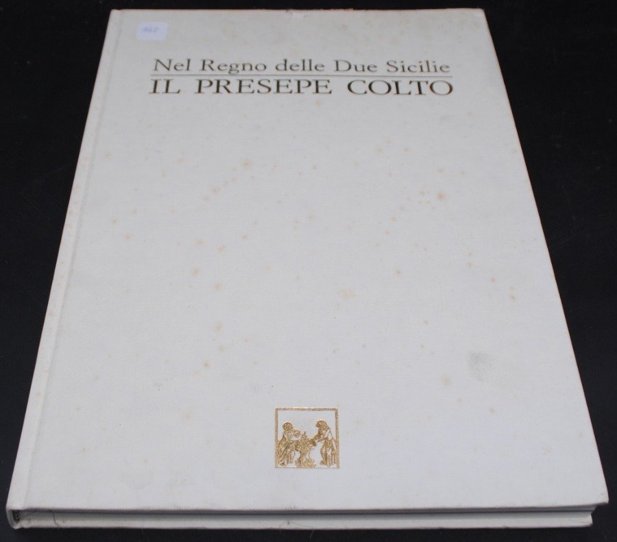 Libro de historia sobre las Dos Sicilias