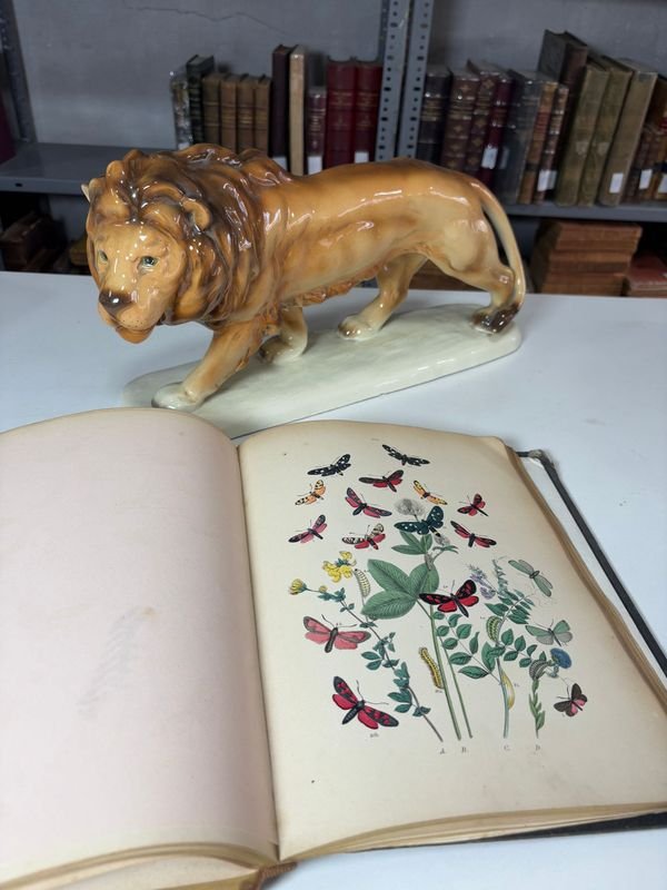 Item 879423 - Image 3