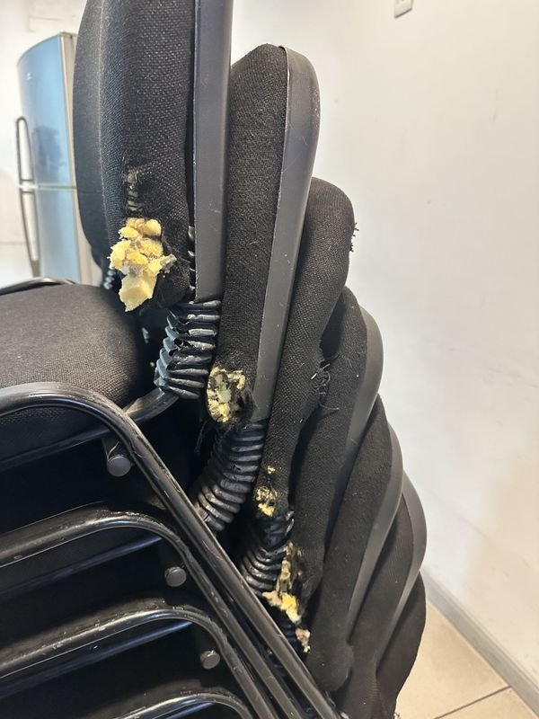 Item 904361 - Image 2