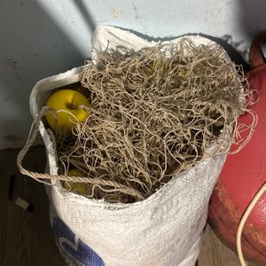 Lote anterior: Trasmallo de pesca con boyas