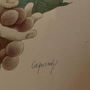Obra "Dama desnuda" de G. Capozzoli, Técnica Mixta sobre Papel - imagen 2