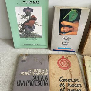 Lote de Libros de Poesía: El Poema del Cid, Alfonsina Storni y más - imagen 2