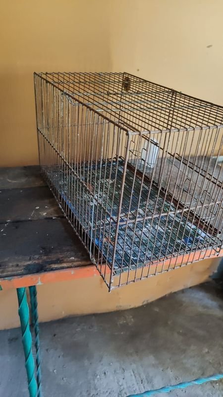 Jaulas para pájaros - Lote de 2 - imagen 2