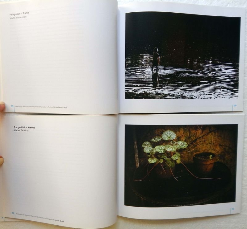 Item 853880 - Image 6