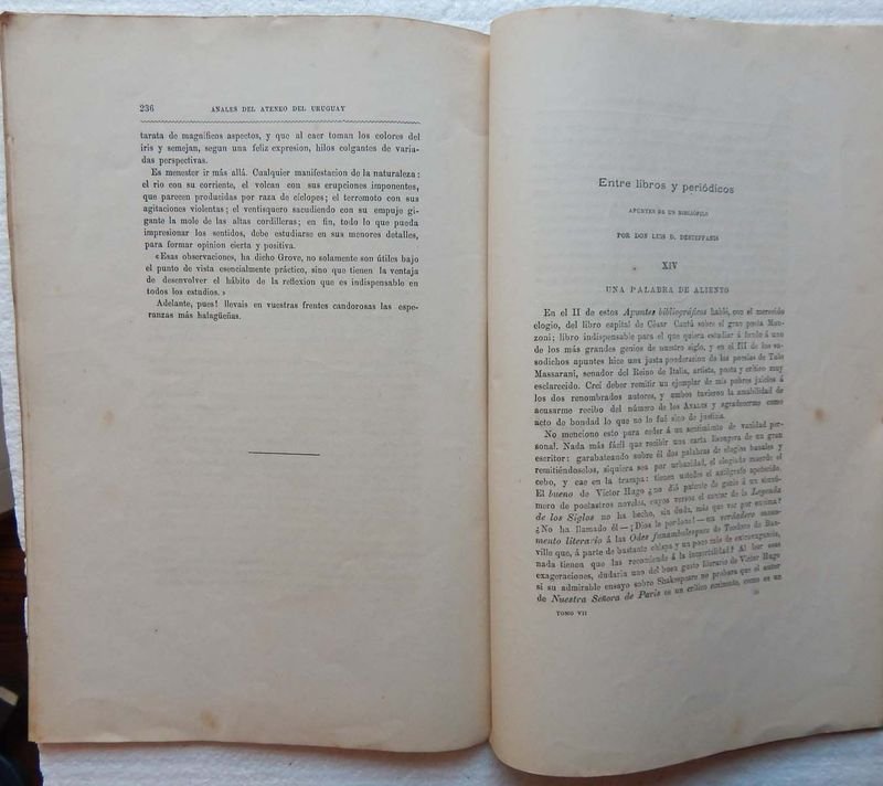 Revista Anales Del Ateneo Del Uruguay, publicación mensual de 1884 - imagen 5