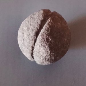 Lote siguiente: Boleadora Antigua de Piedra con Ranura Profunda