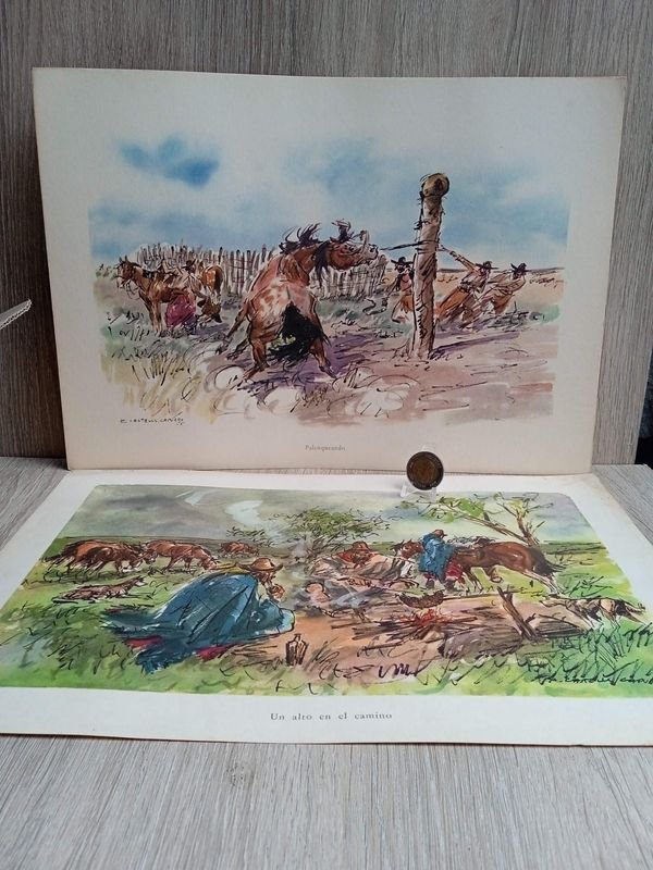 Item 883824 - Image 0