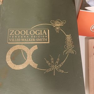 Lote de 13 Libros, Tabla de Dibujo con Regla y Estuche - imagen 9