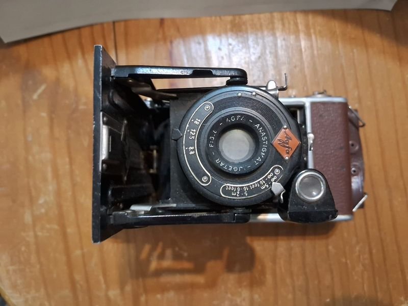 Item 869594 - Image 5