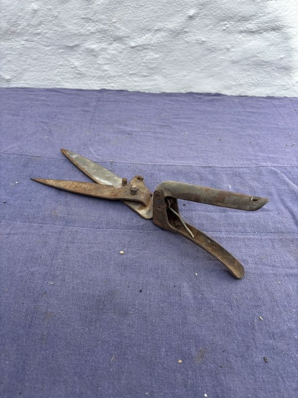 Item 915610 - Image 0