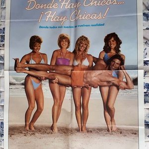 Lote anterior: Poster Original "Donde hay Chicos... ¡hay Chicas!" (1984) - Lisa Hartman