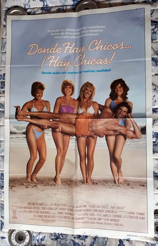 Poster Original "Donde hay Chicos... ¡hay Chicas!" (1984) - Lisa Hartman