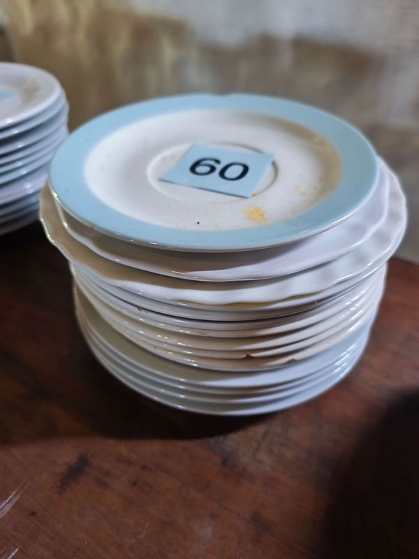Lote de 15 Platillos Variados