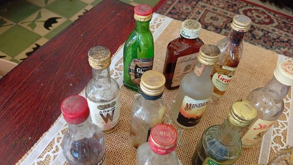 Lote de 14 Botellitas de Colección Varias Marcas - imagen 1