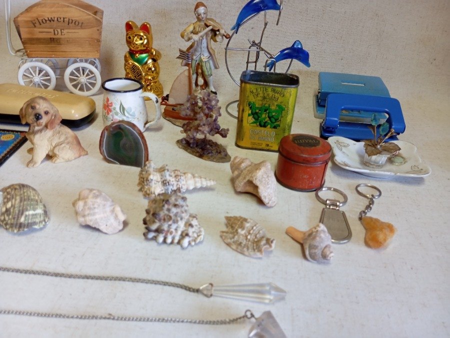 Colección de caracoles y objetos variados - imagen 3