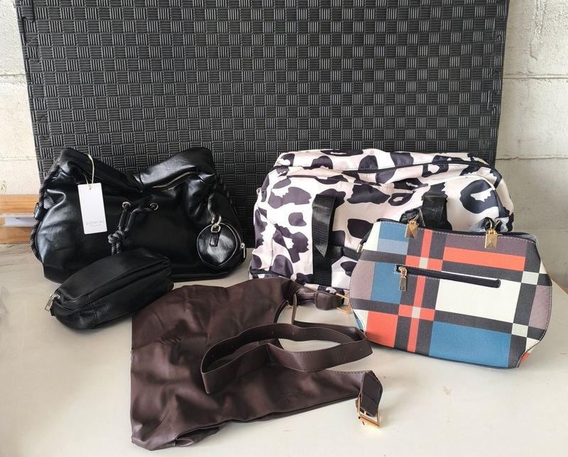 Lote de Carteras y Bolsos de Moda
