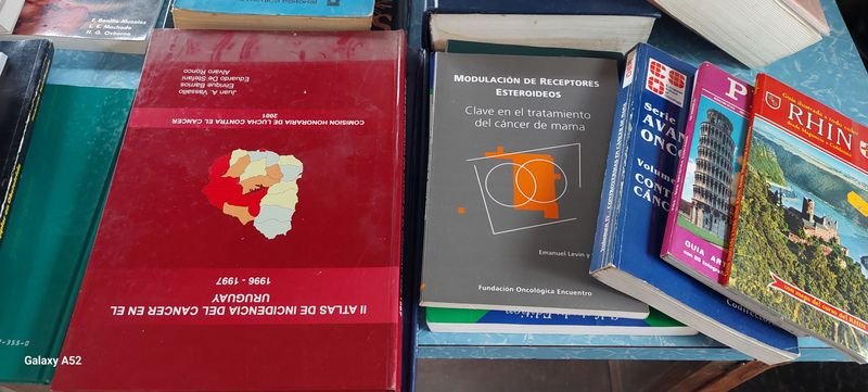 Item 878298 - Image 3