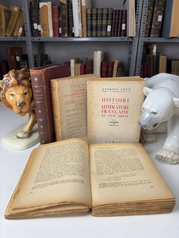 Lote anterior: Libros y Figuritas Cerámicas en Buen Estado