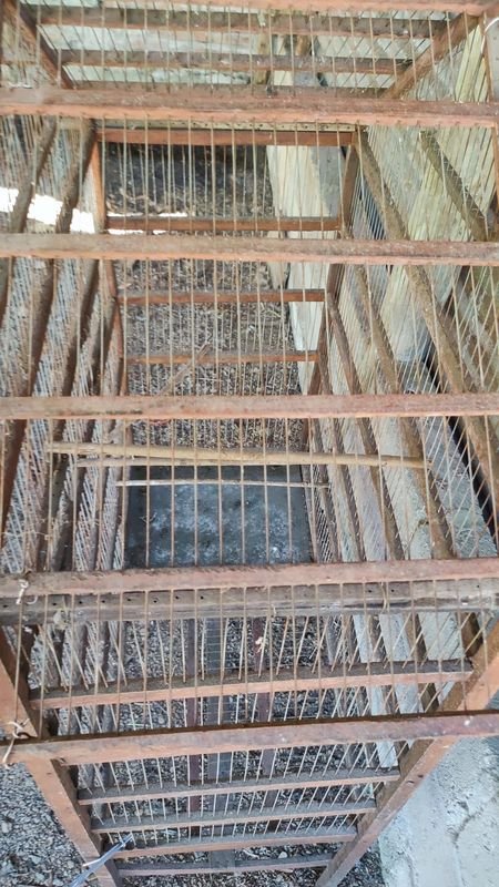 Item 869945 - Image 1