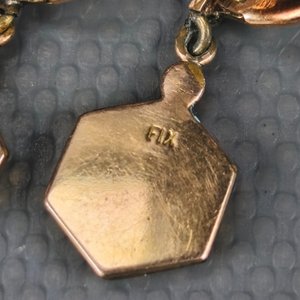 Par de Caravanas y Dije "Virgen de Lourdes" Enchapado FIX con Circonitas - imagen 5